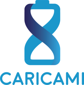 Immagini del logo di CARICAMI in verticale
