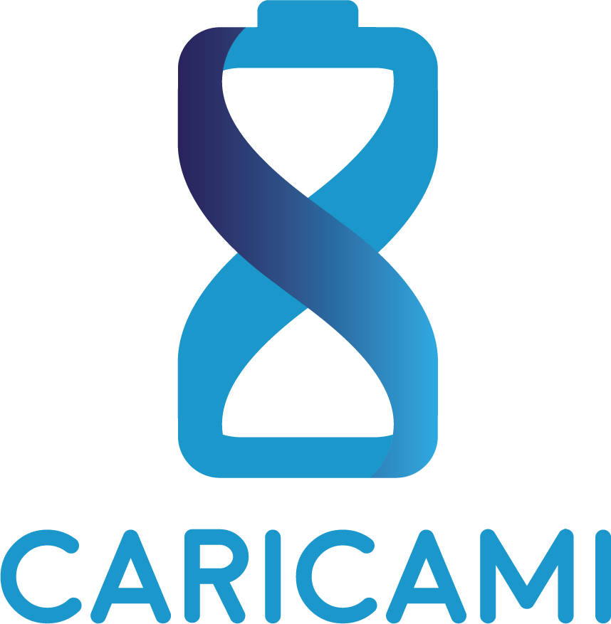 Immagini del logo di CARICAMI in verticale